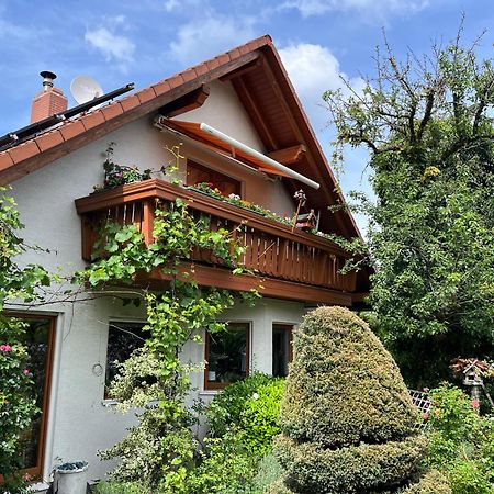 Fewo Judith Freital Exterior photo